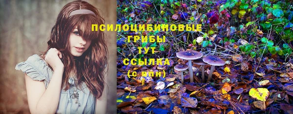ECSTASY Армянск