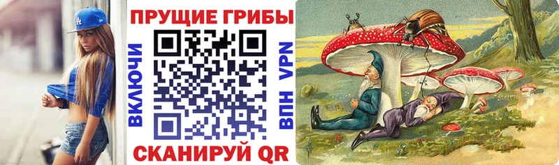 Галлюциногенные грибы прущие грибы  Магадан 